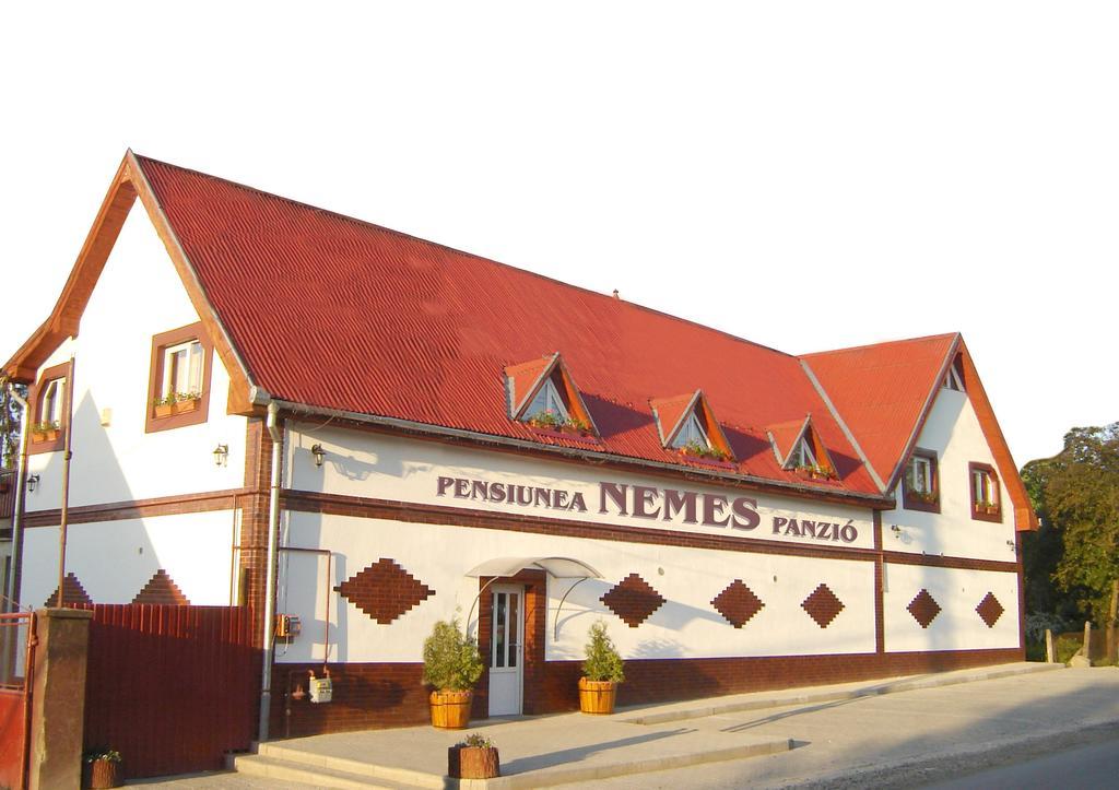 Pensiunea Nemes Panzio Acăţari Exterior foto